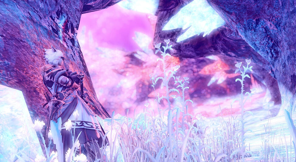 Mage Hunting Mage Hunting