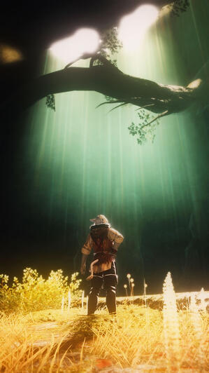 Ravine's Beauty